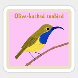 Olive-backed sunbird Sticker